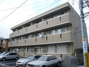 GEMINI ONNAの画像