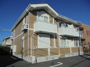 プラシードの画像