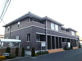 メイプルの画像