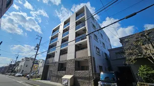 プルミエ白和馬の画像