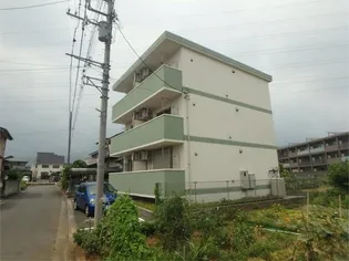 グリシーヌの画像