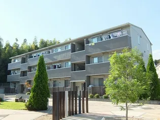 グランレーヴCの画像