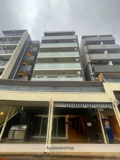 PAULOWNIAVALLEYーTAKE12大口通の画像