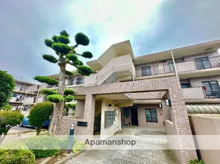 マローネの画像