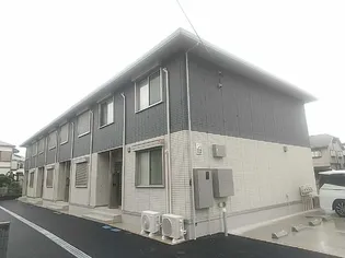 GOLD FORESTの画像