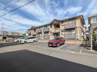 MIST GRASS Kの画像