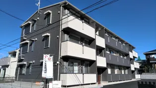 ポーロウニア横山の画像