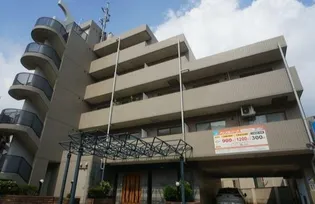 神奈川県川崎市中原区上丸子山王町1丁目【マンション】の外観