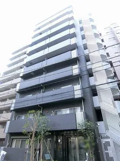 Y&ELFの画像