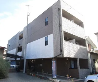 アンプルールフェールひまわりの画像