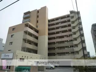 エヴァーグリーン新羽の画像