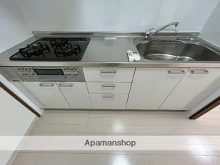 ダイアパレス本厚木第3【2階】の内装