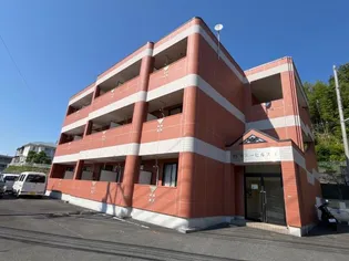 サニーヒルズ M【2階】の外観