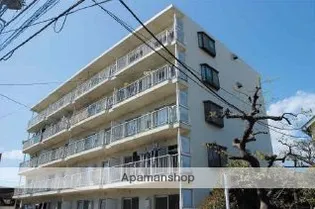 ハイツ崇善【1階】の外観