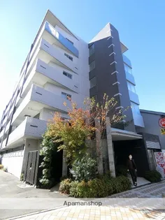 フィオーレの画像