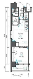 フェニックス横濱初音町【9階】の間取り