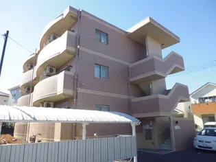 フェリーチェKの画像