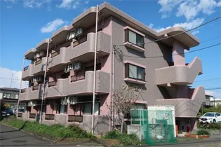 ソレイユKの画像