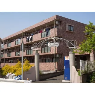 ブローディアの画像