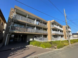 パルタナーレの画像