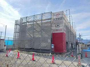 ファンシー ココの画像