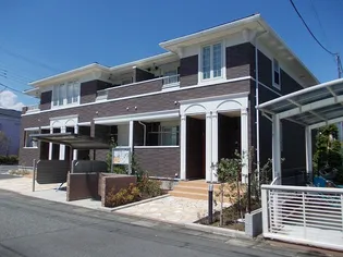 プラシード Mの画像