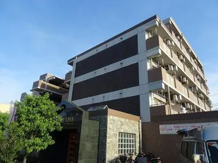 フラット リブの画像