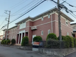 パイン リーフ コムロの画像