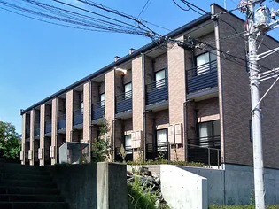 レオネクストフィーレの画像