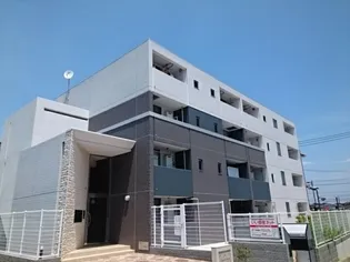 アングロ フェリーチェの画像