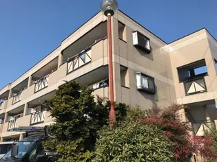 サザンフィールドの画像