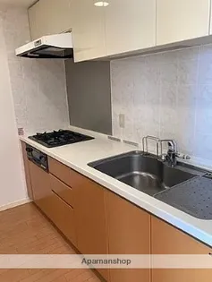 小田急コアロード海老名Ⅵカナルゲート【9階】のキッチン