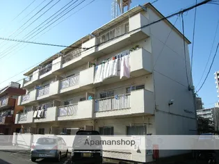 第1アオイハイツ【3階】の外観