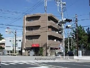 ペルシモン西海岸の画像