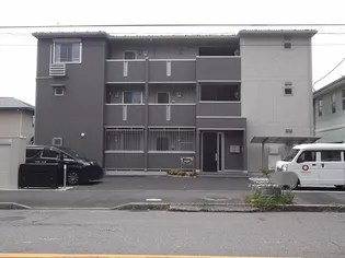 アムールの画像