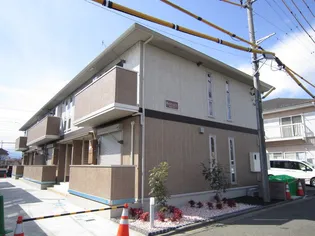 スターエイトの画像