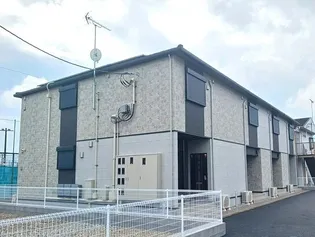 ファンシー ココの画像