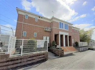 プラシードの画像