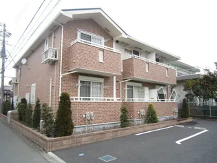 セレーサの画像