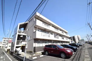 清水マンション【3階】の外観