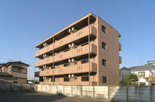 フローラルの画像