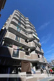 デネブ スワンの画像