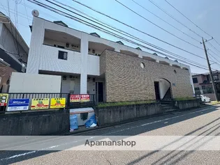 プリマヴェーラの画像