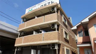 シャルムパルファンの画像