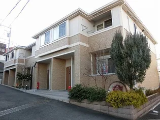 パラディの画像