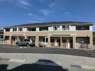 ブロードパインAの画像