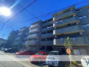 フィールド サンの画像