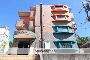 セレッソ クエスタ湘南の画像