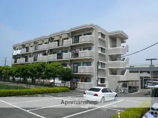 ヴェルテックス湘南の画像