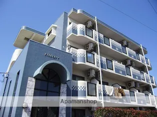 フェリシティの画像